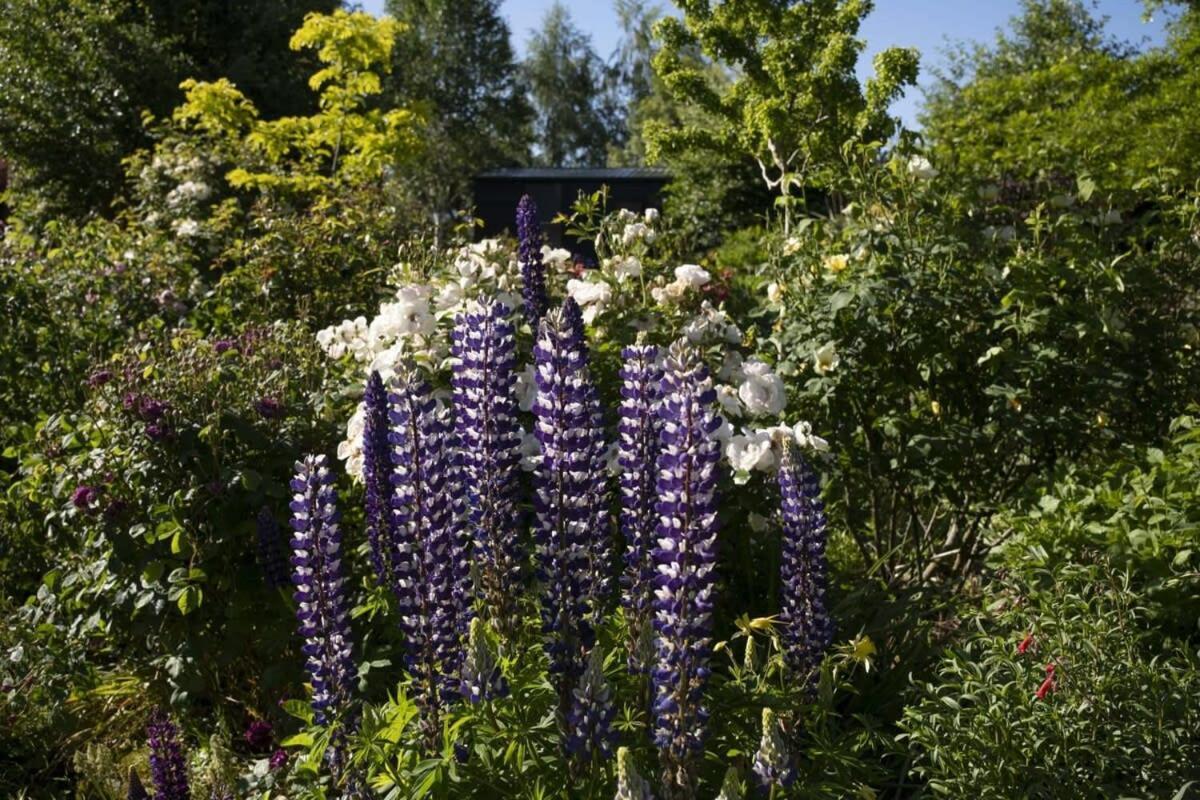 Tiny Away Benger Garden 2 By Tiny Away Villa Millers Flat Eksteriør bilde